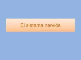 el sistema nervi s