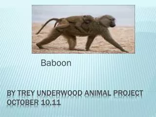 By trey Underwood Animal project October 10,11