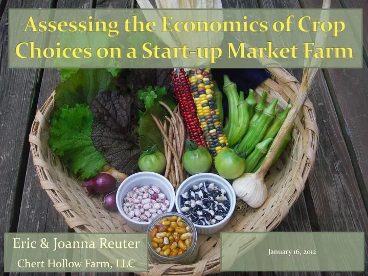 assessing the economics of crop choices on a start up market farm