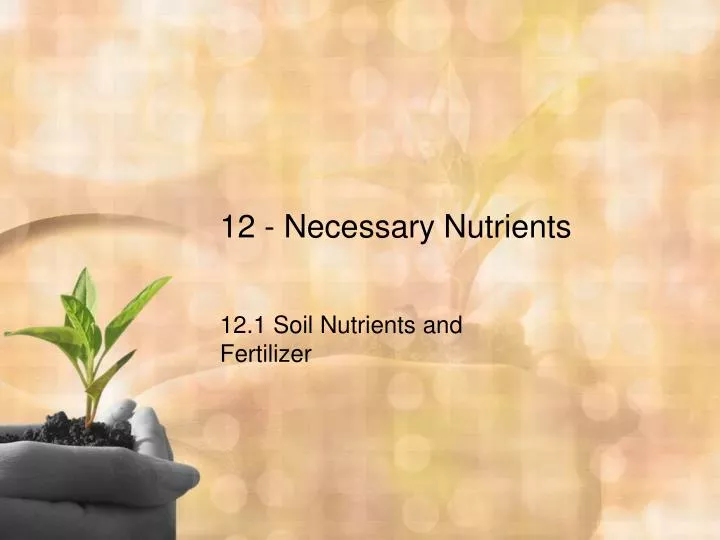12 necessary nutrients