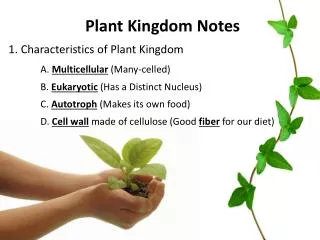 Plant Kingdom Notes 1. Characteristics of Plant Kingdom A. Multicellular (Many-celled)