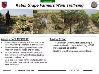 Kabul Grape Farmers Want Trellising