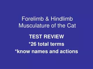 Forelimb &amp; Hindlimb Musculature of the Cat
