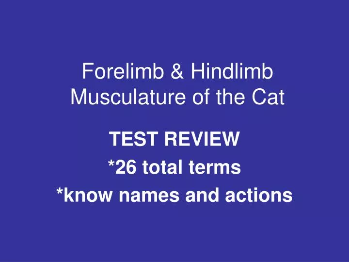 forelimb hindlimb musculature of the cat