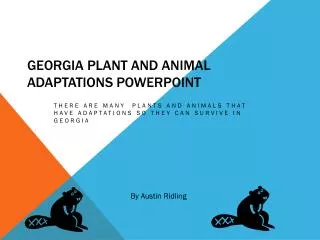 Georgia Plant and Animal Adaptations powerpoint