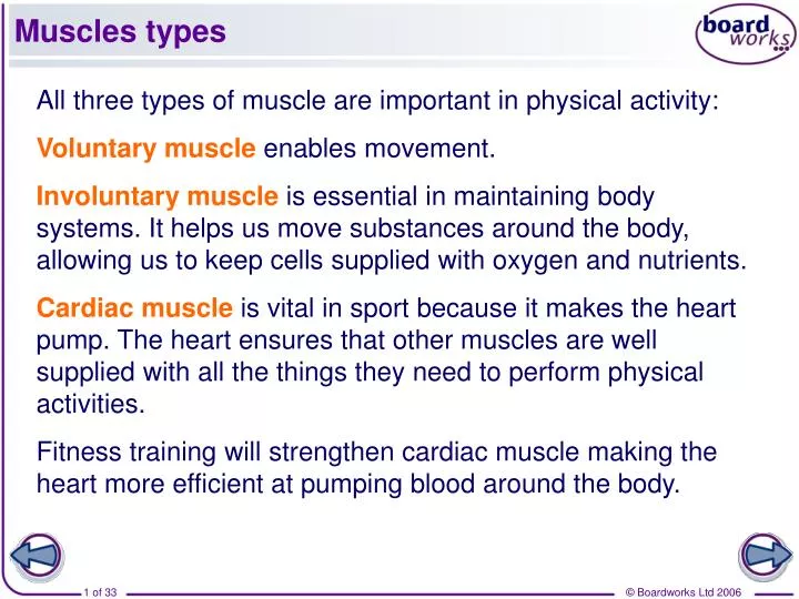 muscles types