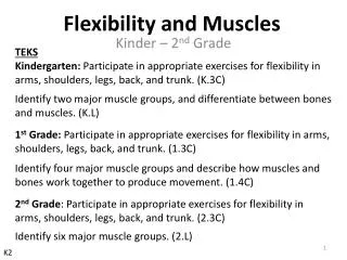 Flexibility and Muscles