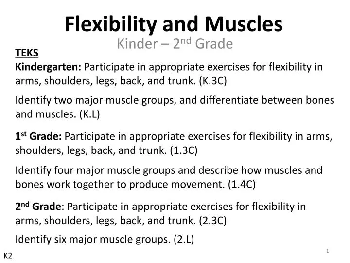 flexibility and muscles