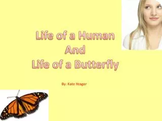 Life of a Human And Life of a Butterfly