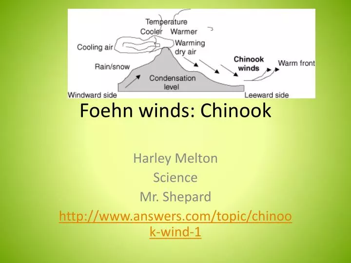 foehn winds chinook
