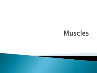 Muscles