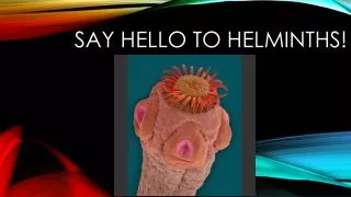 Say Hello to Helminths !