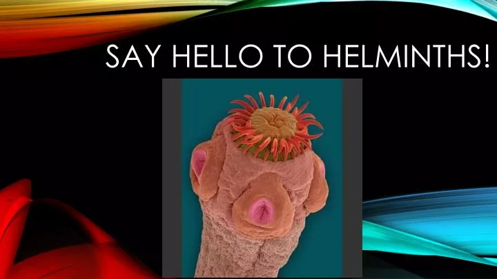 say hello to helminths