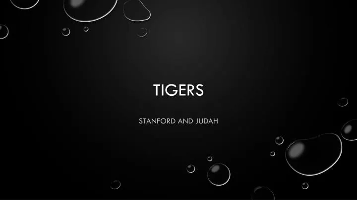 tigers