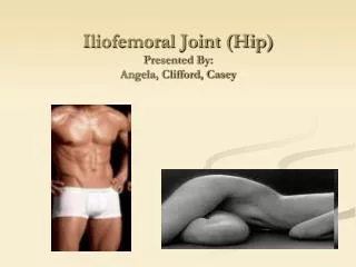 Iliofemoral Joint (Hip) Presented By: Angela, Clifford, Casey
