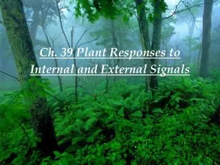 Ch. 39 Plant Responses to Internal and External Signals