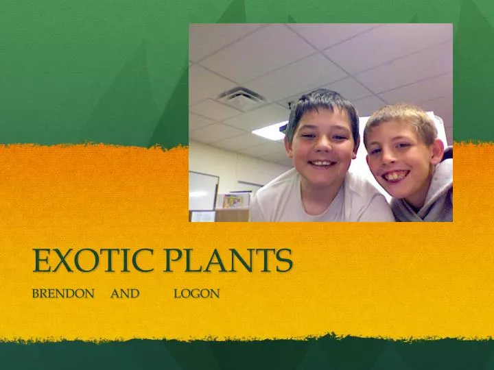 ex otic plants