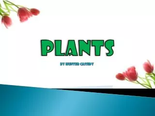 plants