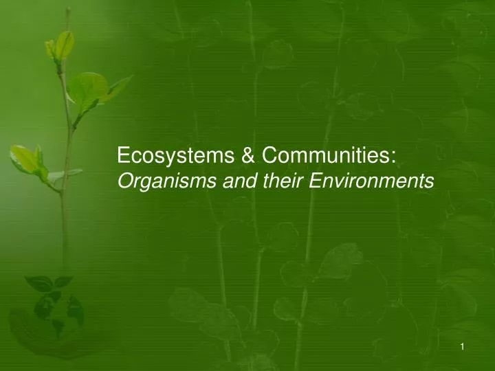 ecosystems communities organisms and their environments