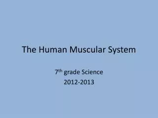 The Human M uscular System