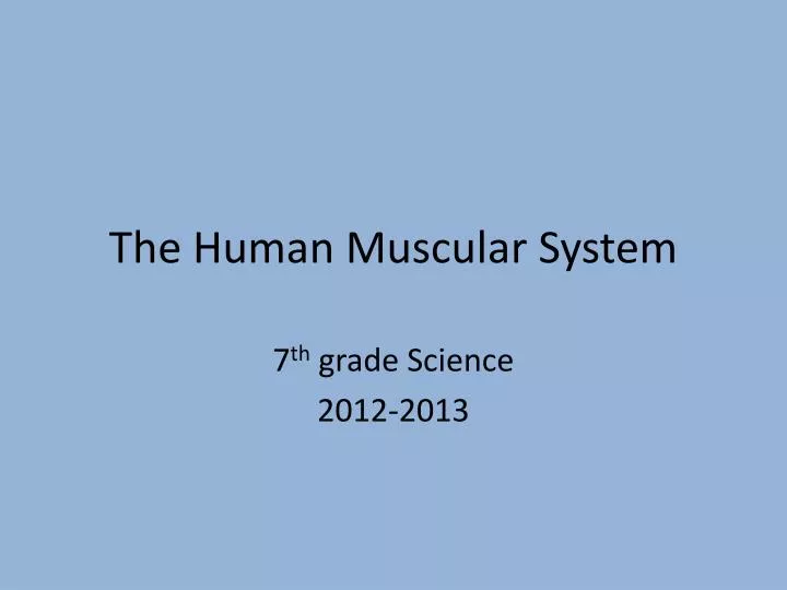 the human m uscular system