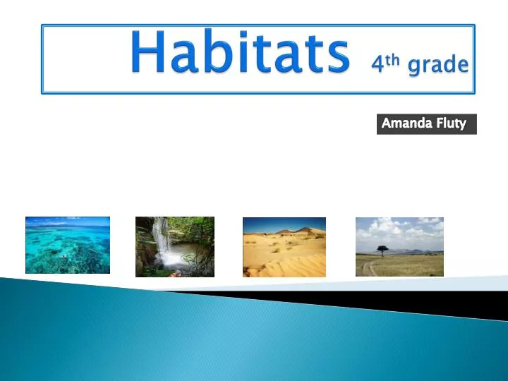 habitats 4 th grade