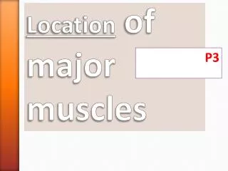 Location of major muscles