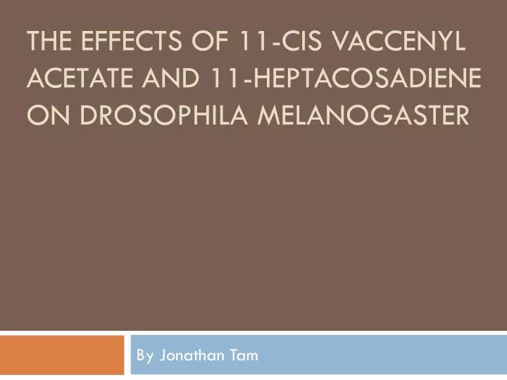 the effects of 11 cis vaccenyl acetate and 11 heptacosadiene on drosophila melanogaster