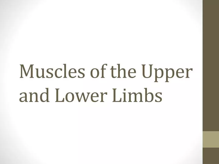 muscles of the upper and lower limbs