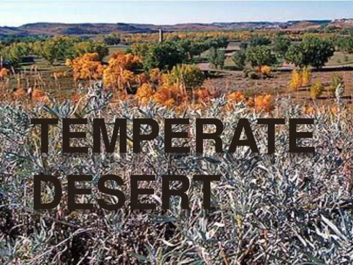 temperate desert