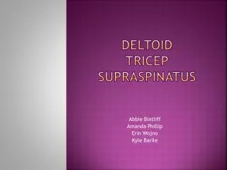 Deltoid Tricep Supraspinatus