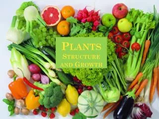 Plants Structure and Growth