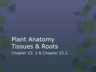 Plant Anatomy Tissues &amp; Roots