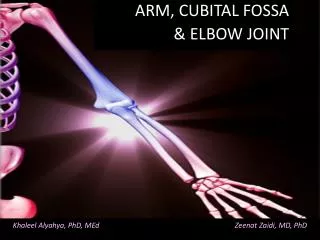 ARM, CUBITAL FOSSA &amp; ELBOW JOINT