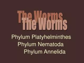 The Worms