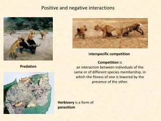 Positive and negative interactions