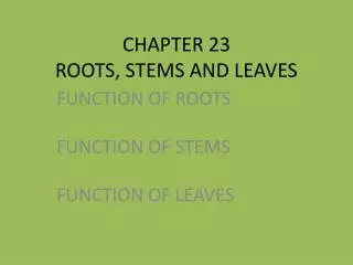 CHAPTER 23 ROOTS, STEMS AND LEAVES