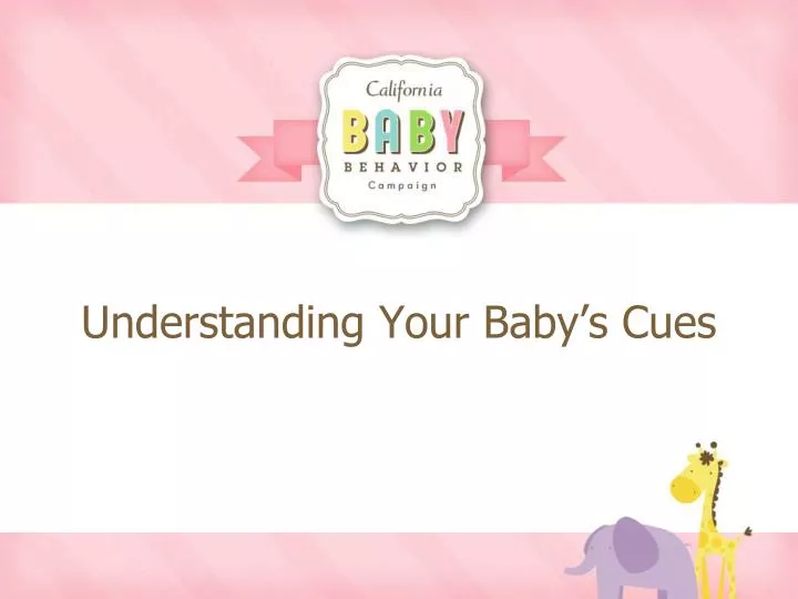 understanding your baby s cues