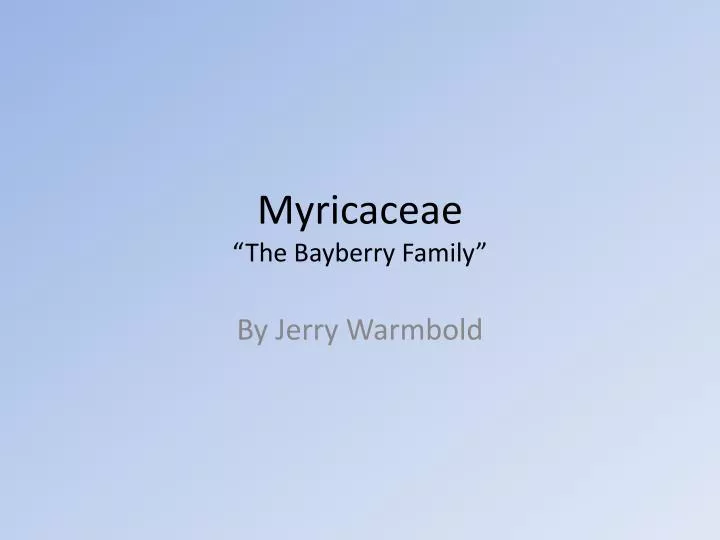 myricaceae the bayberry family