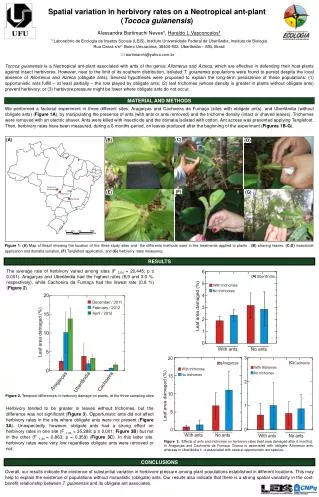 Spatial variation in herbivory rates on a N eotropical ant-plant ( T ococa guianensis )