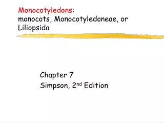 Monocotyledons : monocots, Monocotyledoneae , or Liliopsida