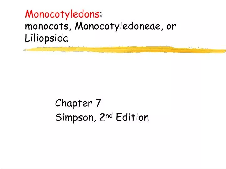 monocotyledons monocots monocotyledoneae or liliopsida