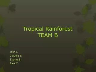 Tropical Rainforest TEAM B