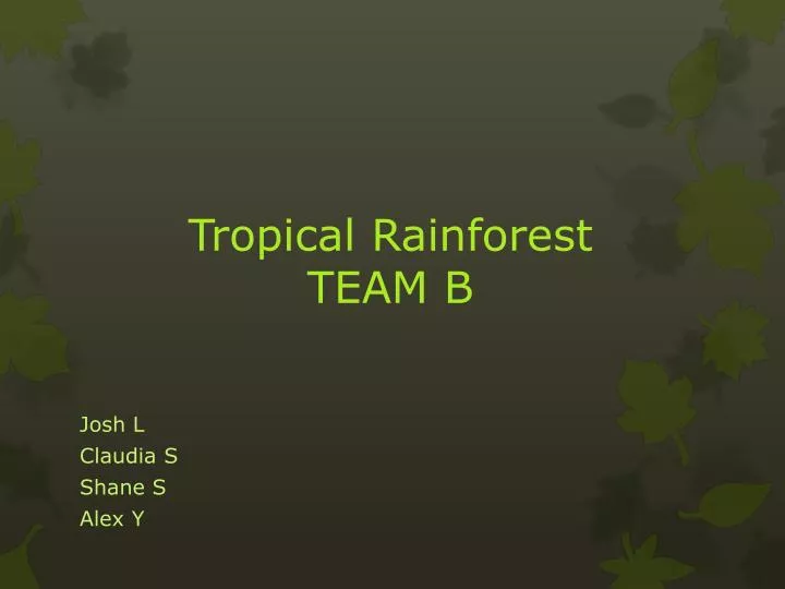 tropical rainforest team b