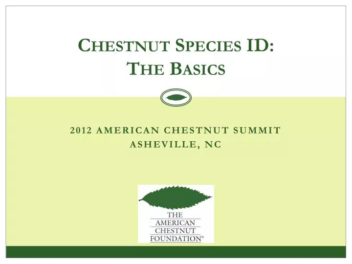 chestnut species id the basics