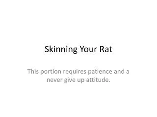 Skinning Your Rat