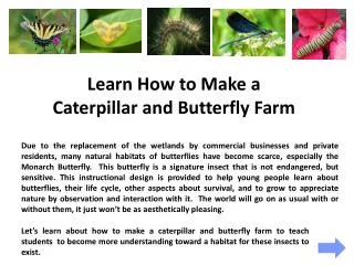 Learn How to Make a Caterpillar and Butterfly Farm