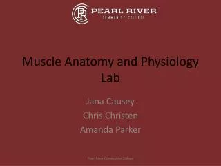 Muscle Anatomy and Physiology Lab