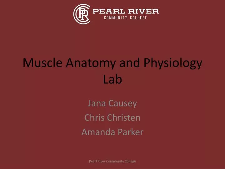 muscle anatomy and physiology lab
