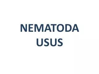 nematoda usus